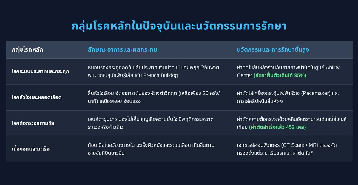 กลุ่มโรคหลักและนวัตกรรมการรักษา - Copy.jpg