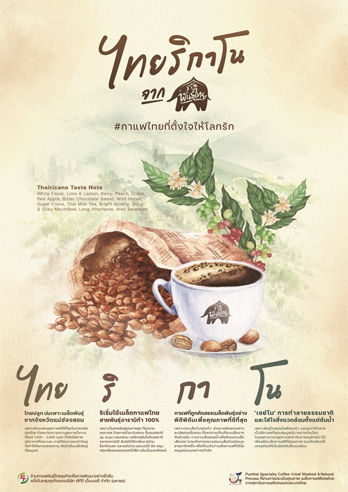 พันธุ์ไทยแจ้งเกิด ‘ไทยริกาโน’ อเมริกาโน สัญชาติไทย พร้อมก้าวสู่เวทีระดับโลก