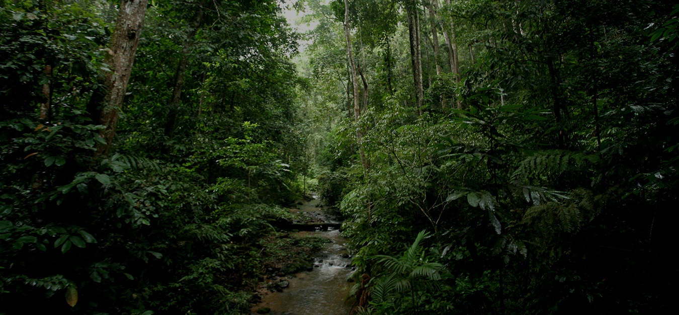 00-slide_06-1.jpg