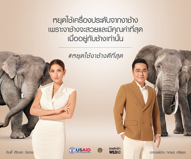 ซินดี้ สิรินยา-อาจารย์ช้าง ชวนเลิกซื้อ เลิกใส่เครื่องประดับจากงาช้าง ย้ำ ‘งาช้างอยู่กับช้างใช่ที่สุด’
