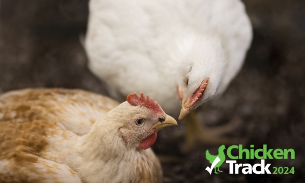 ChickenTrack 2024 เผยแนวทางอุตสาหกรรมไก่ไทยก้าวล้ำการเปลี่ยนแปลงในตลาดยุโรป