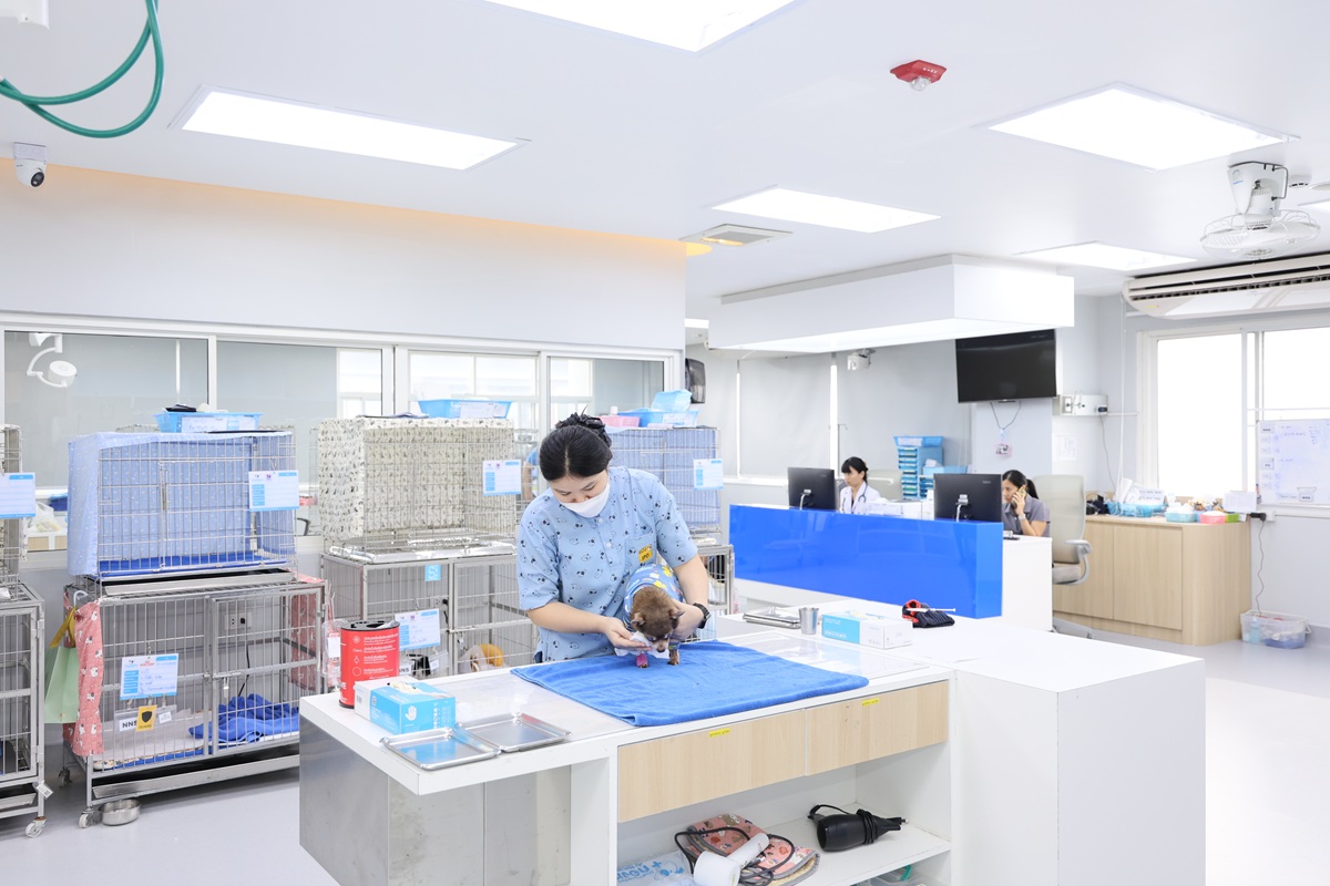 6R6A9474 - Copy.JPG