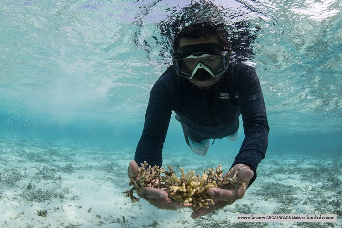 CROSSROADS Maldives ตอกย้ำความสำเร็จด้านสิ่งแวดล้อม โครงการต้นแบบระดับภูมิภาคทศวรรษแห่งสหประชาชาติว่าด้วยมหาสมุทร