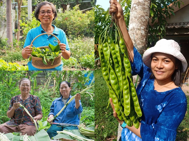 เซ็นทรัล เปิด “จริงใจ FARMERS’ MARKET” แฟล็กชิพสโตร์แห่งแรก คัดที่สุด ผัก ผลไม้ทั่วไทย
