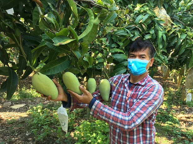 MATA Fruitland รับซื้อผลไม้หวังช่วยชาวสวนมีรายได้รับมือวิกฤตโควิด-19