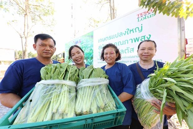 เทสโก้ โลตัส เดินหน้าขยายโครงการรับซื้อตรงจากเกษตรกรครอบคลุมทุกภูมิภาค พลิกวิสาหกิจชุมชนบ้านนาคูฯ อยุธยา ส่งผักขายทั่วภาคกลาง