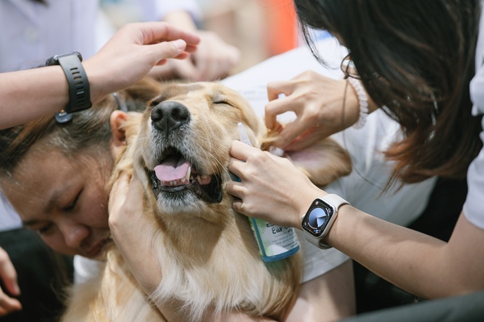 รพส.ทองหล่อ ชวนเช็กอิน Pet Expo 2026 ภายใต้ธีม "Guardians of the heart" เพราะสุขภาพเขา เราดูแล