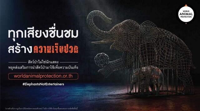 วันช้างโลก - ผุดโฆษณาหยุดใช้ช้างสร้างความบันเทิง