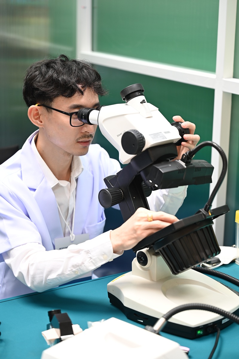Gem Testing Service บริการพิเศษจากทีมผู้เชี่ยวชาญของ GIT.JPG