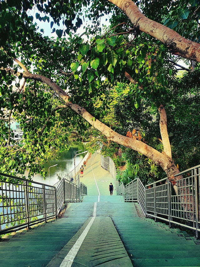 “สะพานเขียว” สีเขียวเชื่อมย่าน สะพานเชื่อมเมือง