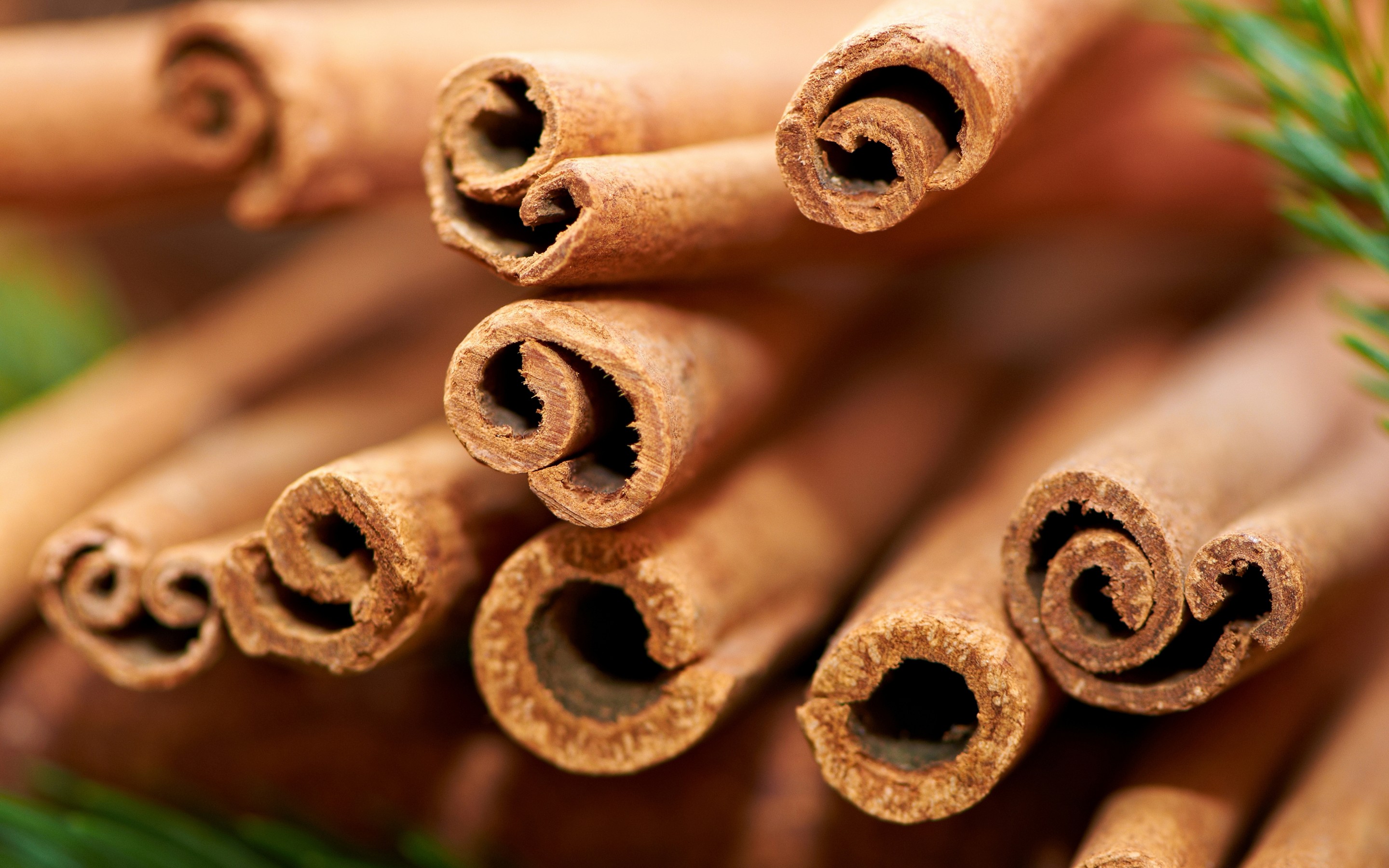 อบเชย: Cinnamon