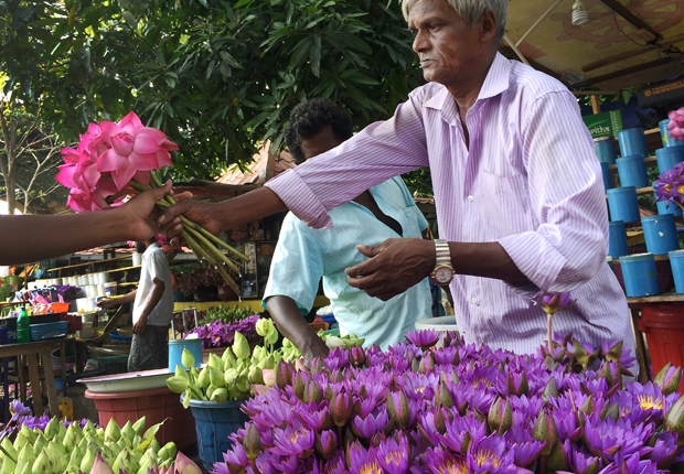 AVURUDU Sri Lanka