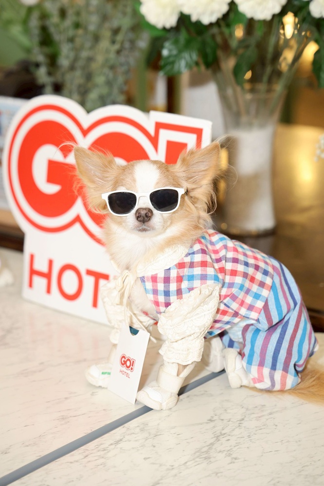 LINE_ALBUM_28-06-26Go hotel ศรีราชา_260701_17.jpg
