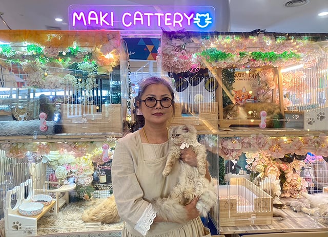 เจาะธุรกิจแมวประกวด ไม่มีเงิน ไปไม่ถึงดวงดาว