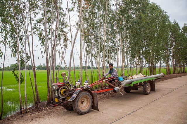 สำรวจแผน Nature Positive ของ SCGP เมื่อการลดคาร์บอนอาจไม่เพียงพอต่อโลกในปัจจุบัน