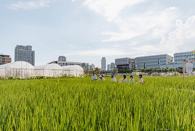 Sansiri Backyard จาก T77 รุกแผน “กรุงเทพกรีฑาคอมมูนิตี้”