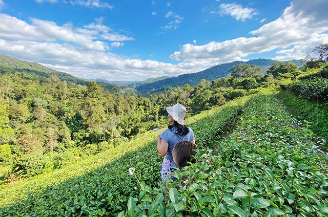 ธุรกิจโรงแรมปรับตัว ก่อนการฟื้นตัวของท่องเที่ยวไทย