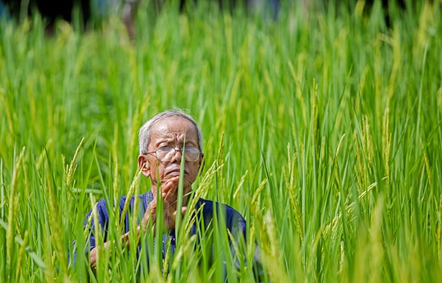 เกษตร+ทฤษฎีใหม่ จุดแข็งแกร่งที่สุดของไทย