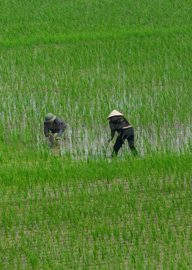 ทางรอดของสินค้าไทย ในอุ้งมือพญาอินทรี