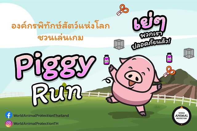 องค์กรพิทักษ์สัตว์แห่งโลก เปิดตัวเกม Piggy Run ครั้งแรกในไทย ชวนร่วมพาหมูหนีภัยผลักดันสวัสดิภาพสัตว์ในฟาร์ม