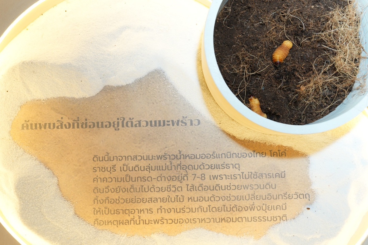 S__213188623_0.jpg