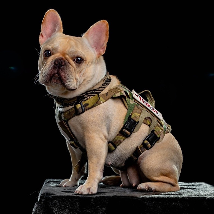 Tank Tinker ก้าวสู่โอซีซี เสริมพอร์ตธุรกิจไลฟ์สไตล์ เติมเต็มคนรักสัตว์