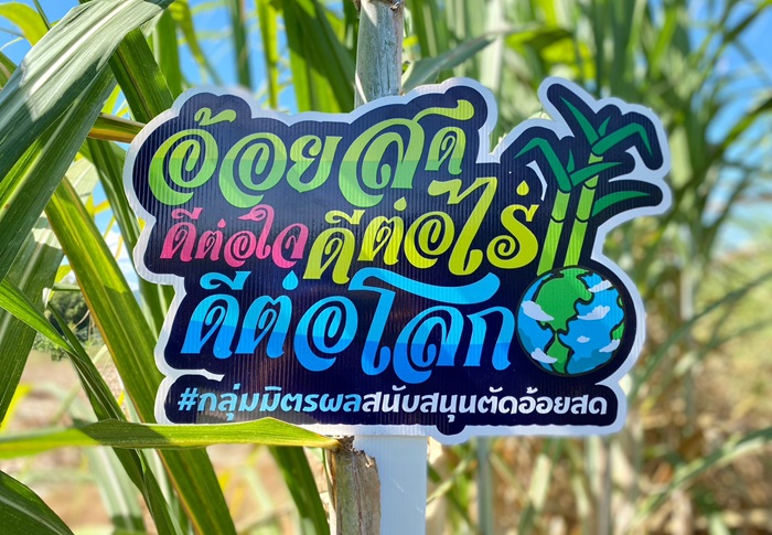 กลุ่มมิตรผลเดินหน้ารับซื้อใบอ้อยเพื่อเปลี่ยนเป็นพลังงานทดแทน หลังเป็นผู้บุกเบิกต่อเนื่องมากว่า 6 ปี