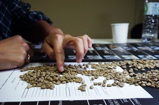 สมาคมกาแฟพิเศษไทย สร้างประวัติศาสตร์วงการกาแฟ จัดประมูลออนไลน์ “เมล็ดกาแฟไทย” ทำรายได้ยอดประมูลกว่า 3 ล้านบาท สูงสุดเป็นประวัติการณ์