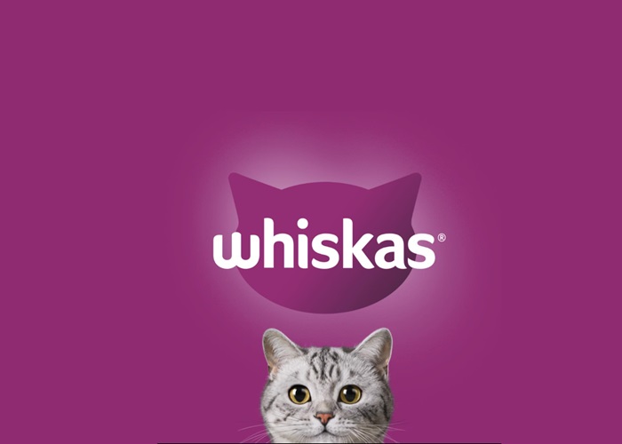 ด่วน! WHISKAS® เปิดแคมเปญระดับโลก แคสติ้งภาพแมวสุดคิวท์ สู่โปสเตอร์สุดเริ่ด หมดเขต 15 สิงหาคม นี้